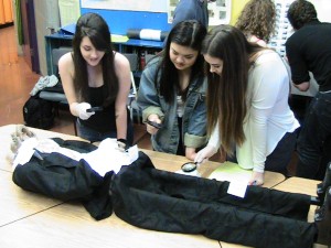 students examining body