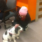 petting dog