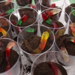 dirt and worms